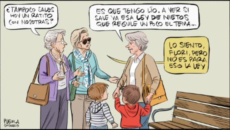 Ley de Nietos