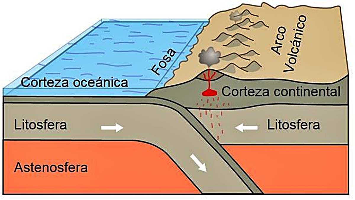 Qué son los terremotos cómo se forman y qué los causa La Neta Neta