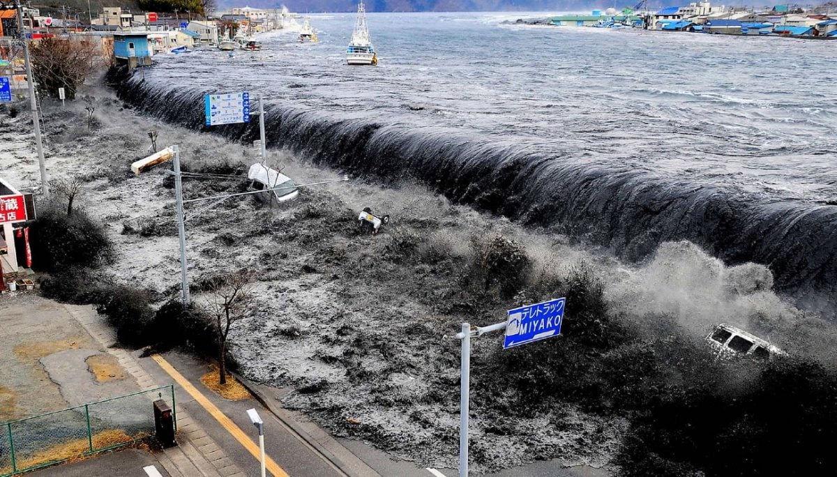 Descubre En Qu Consiste La Teor A Del Catastrofismo