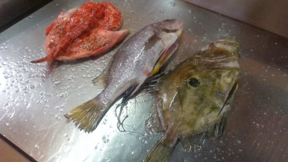 Cómo hacer el pescado a la plancha sin que se seque