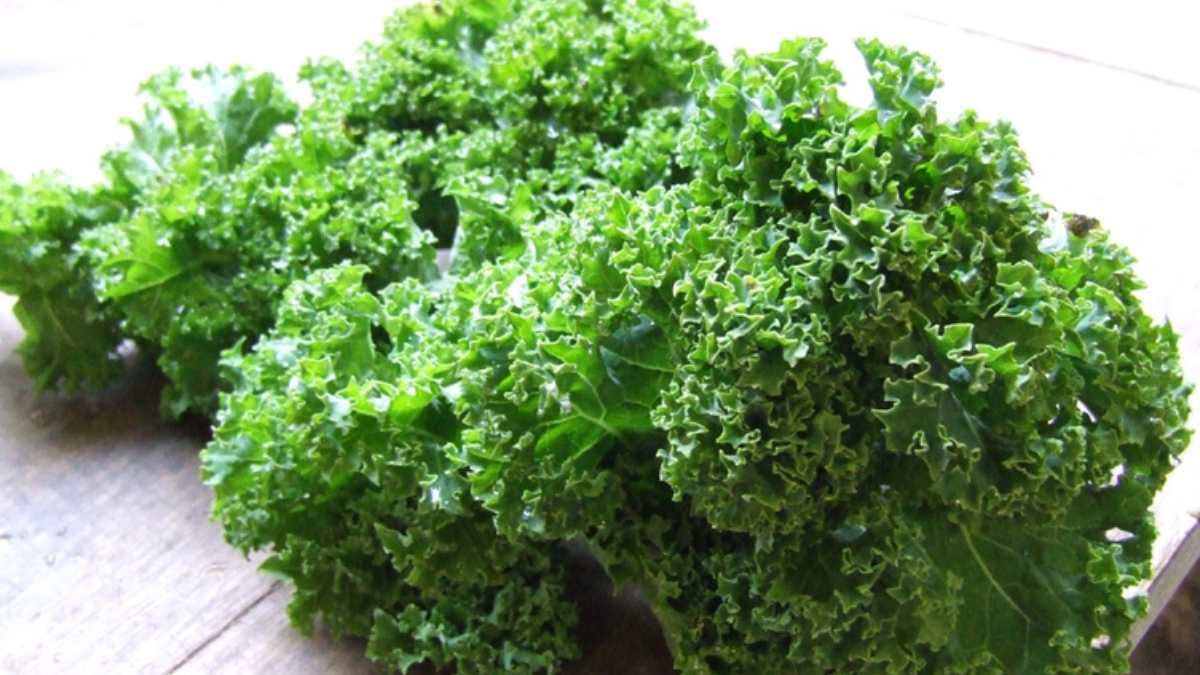 Propiedades Del Kale Y Beneficios Para La Salud