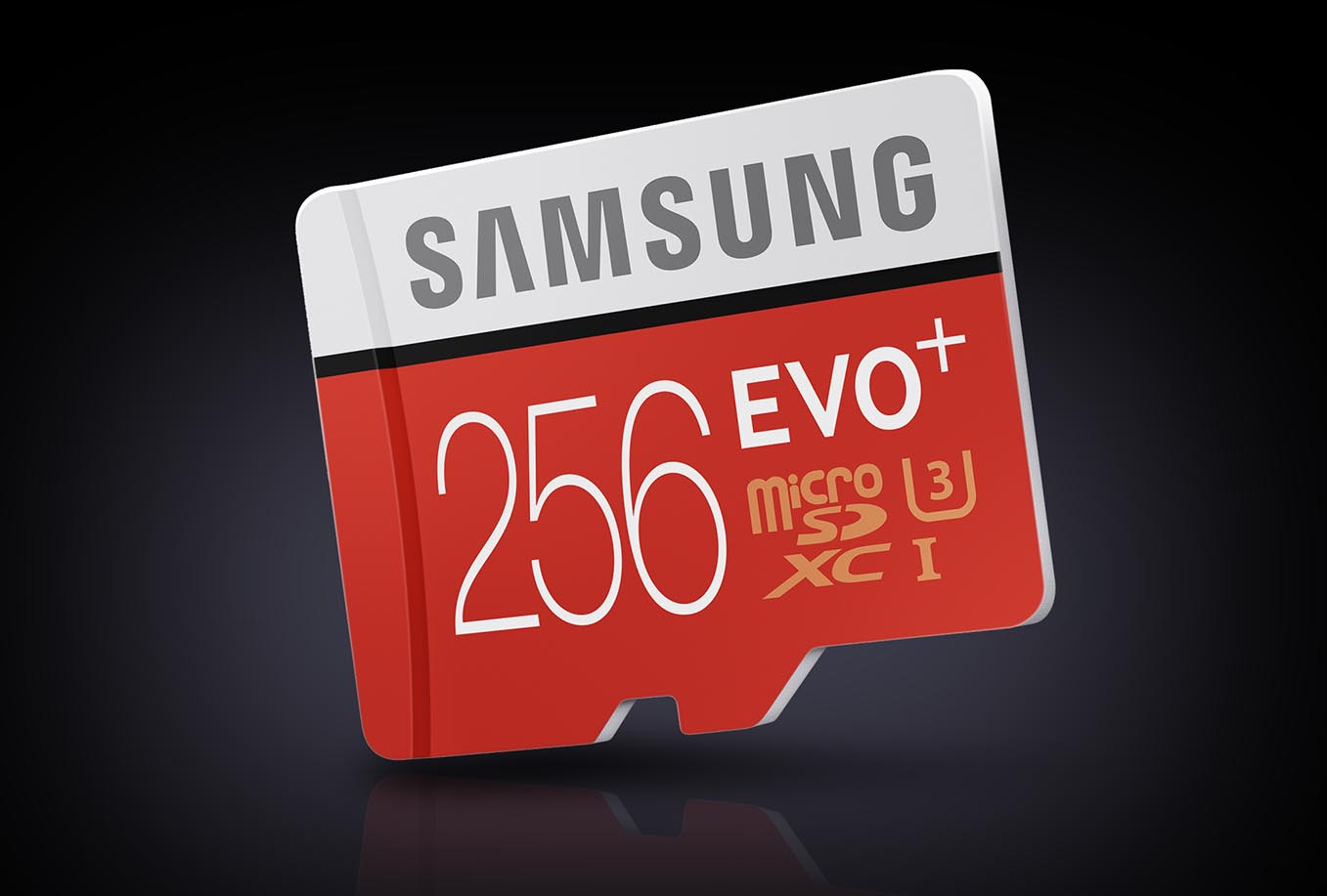 Samsung Evo Plus 256