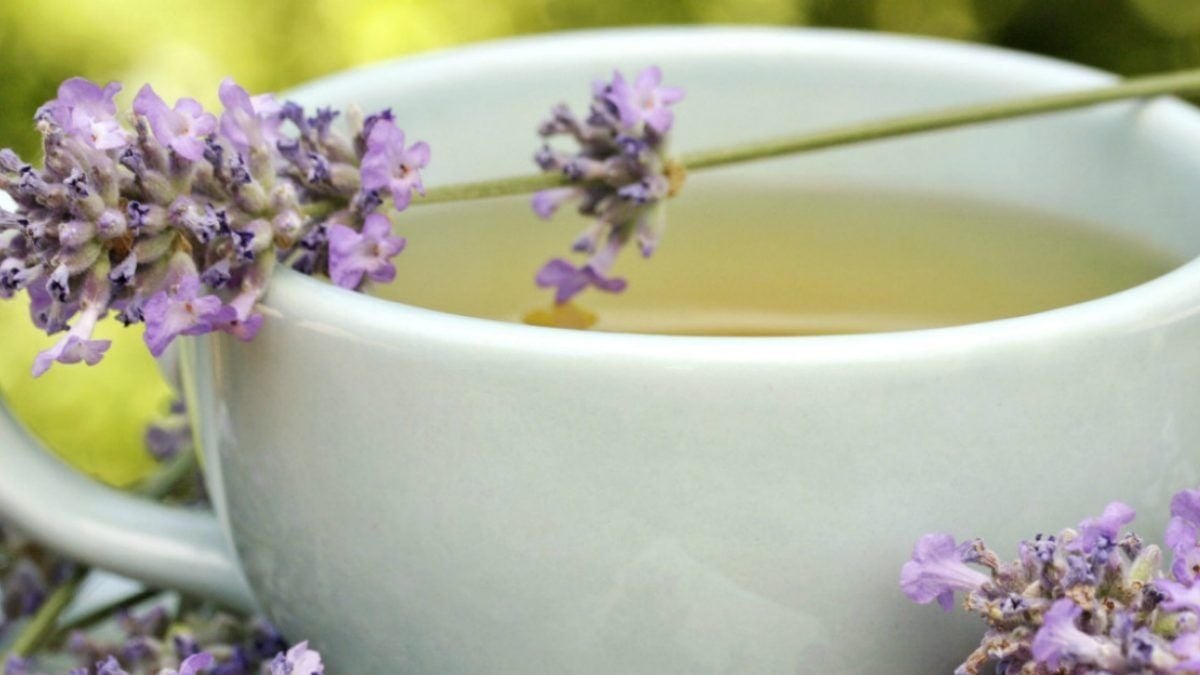 Infusión de lavanda