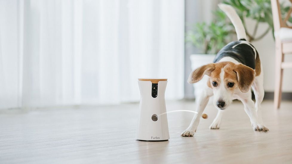 La cámara para controlar a tu mascota/Foto: Tomofun