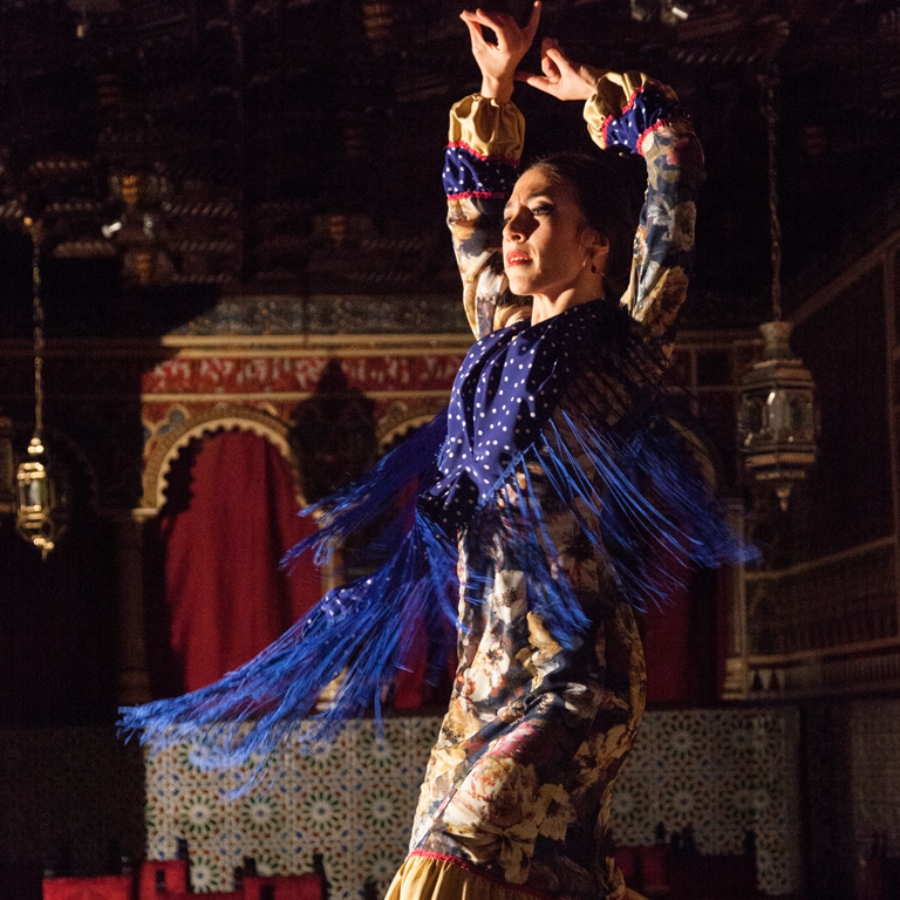 Tablao flamenco en Torres Bermejas. /Foto: Torres Bermejas