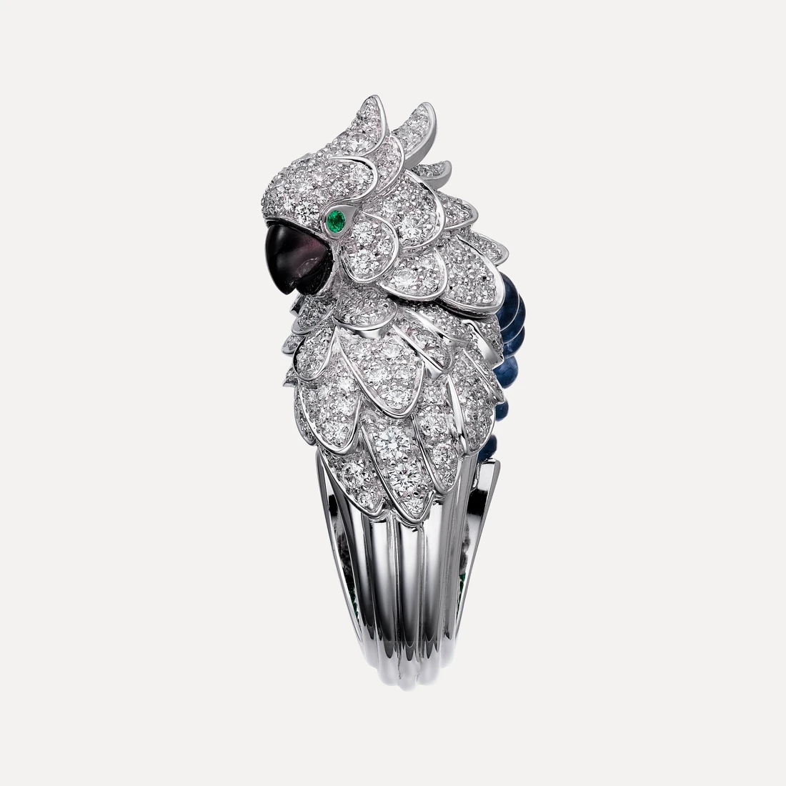 flora fauna cartier