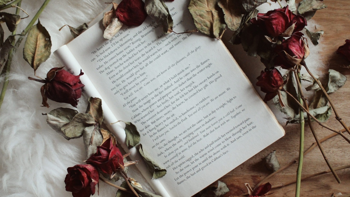 Libro y rosas