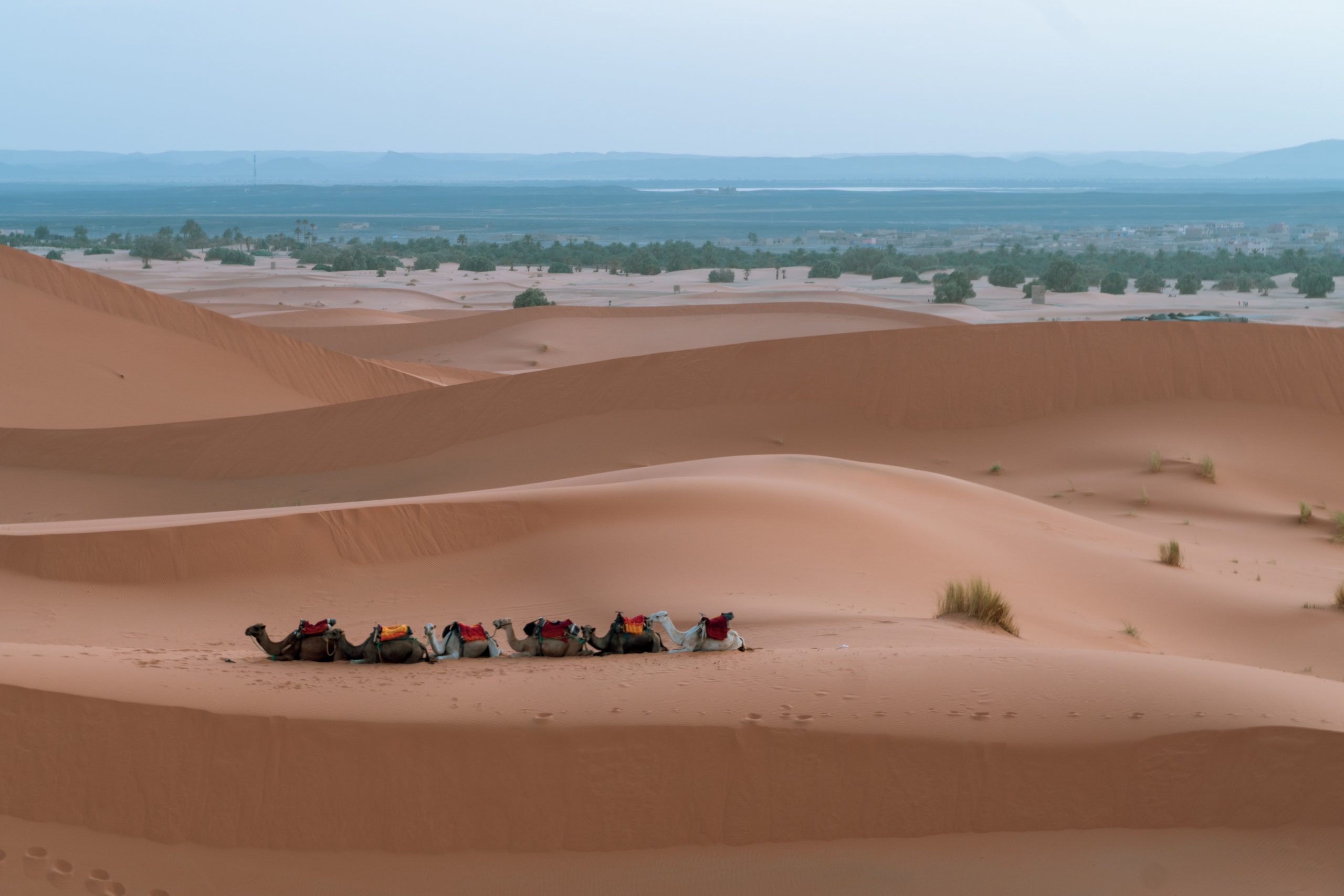 Erg Chebbi, Sahara