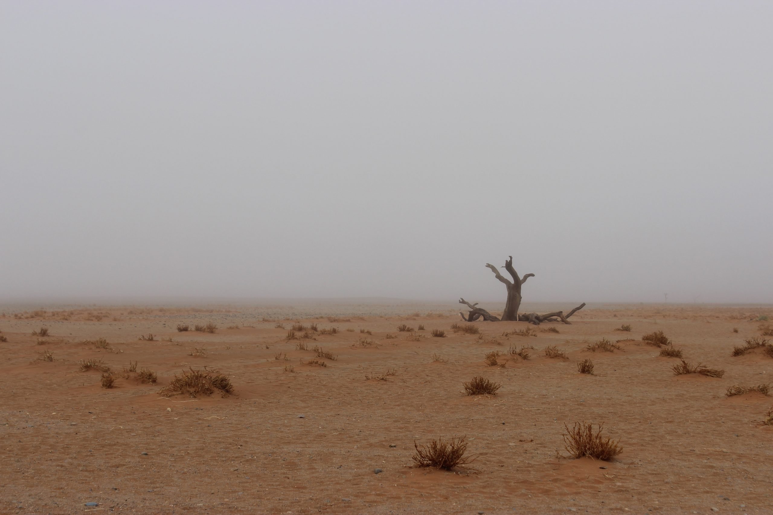 Parque Nacional Namib-Naukluft, en Namibia