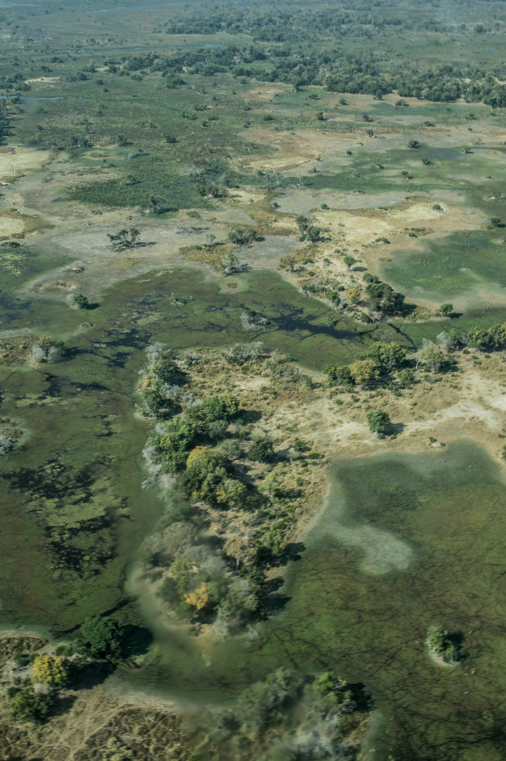 Delta del Okavango, Botsuana