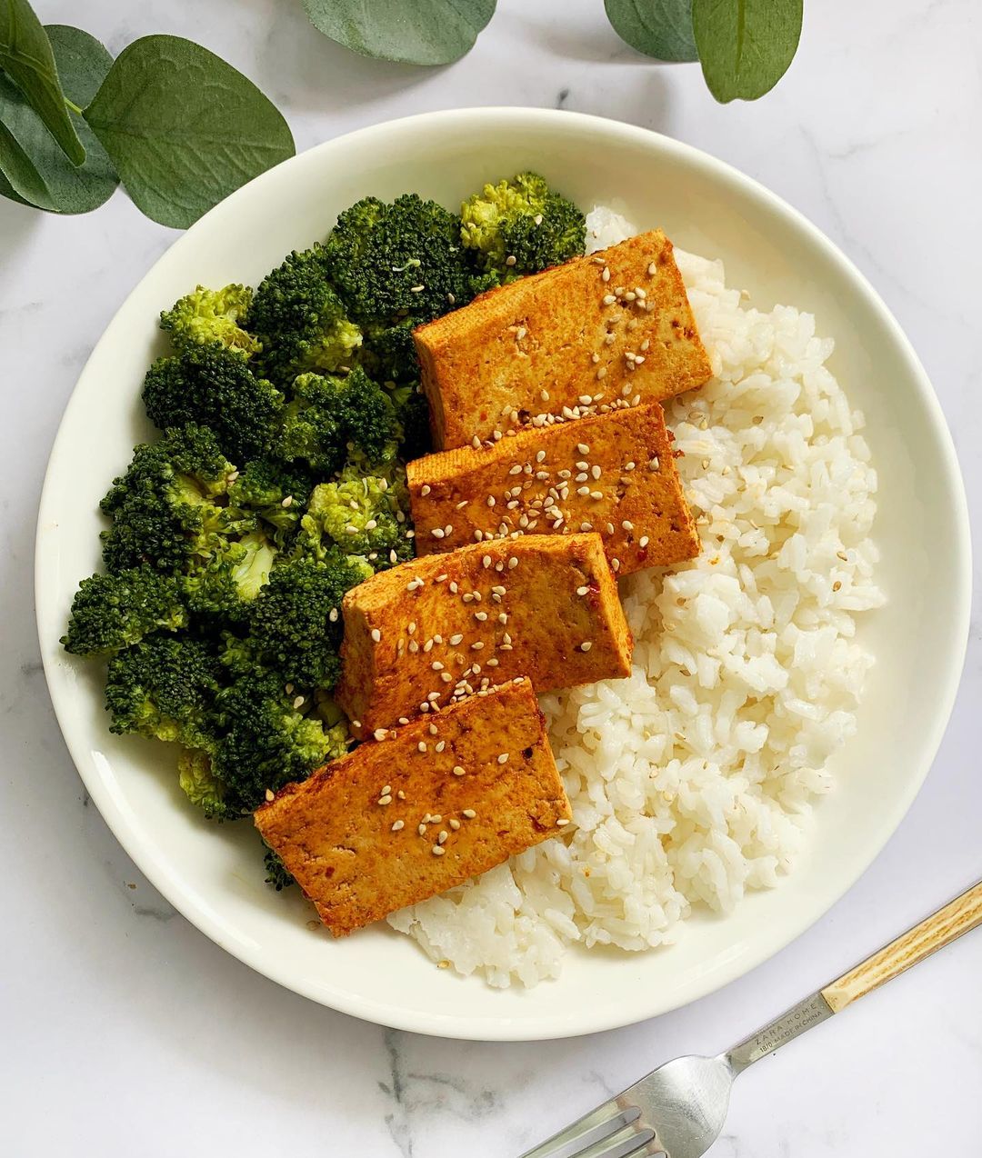 Tofu marinado con brócoli y arroz