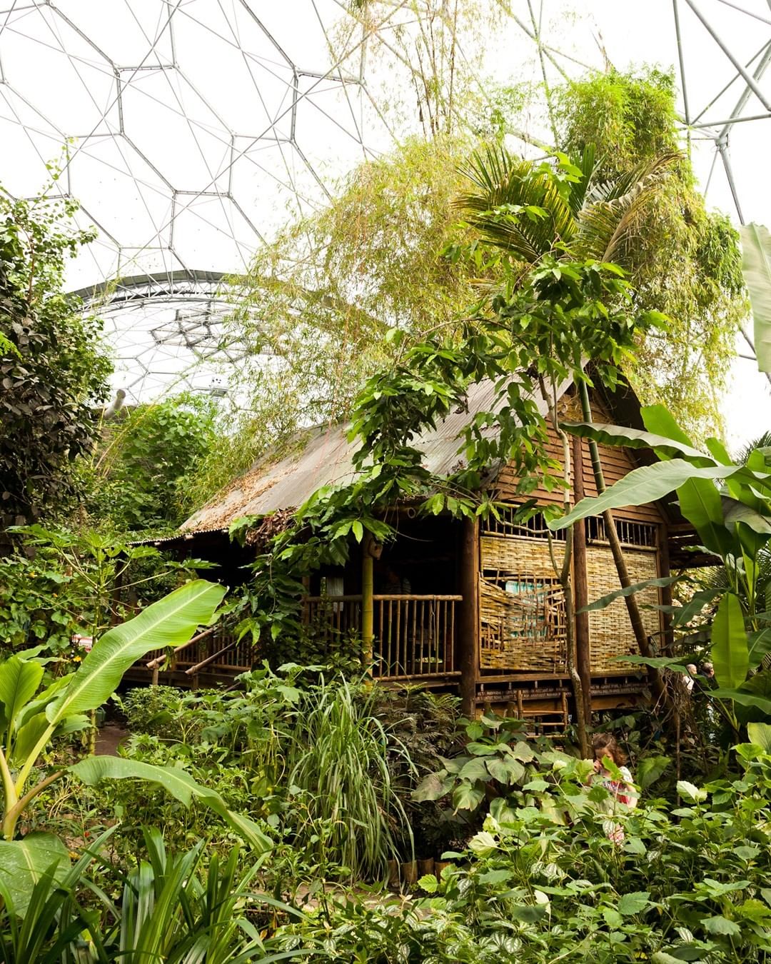 Bioma de la Selva Tropical en Eden Project