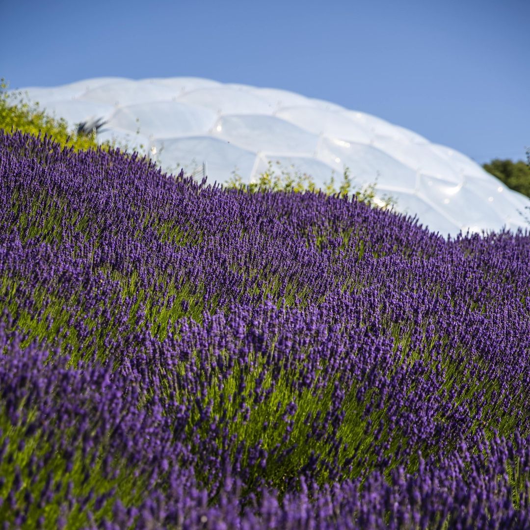 Eden Project