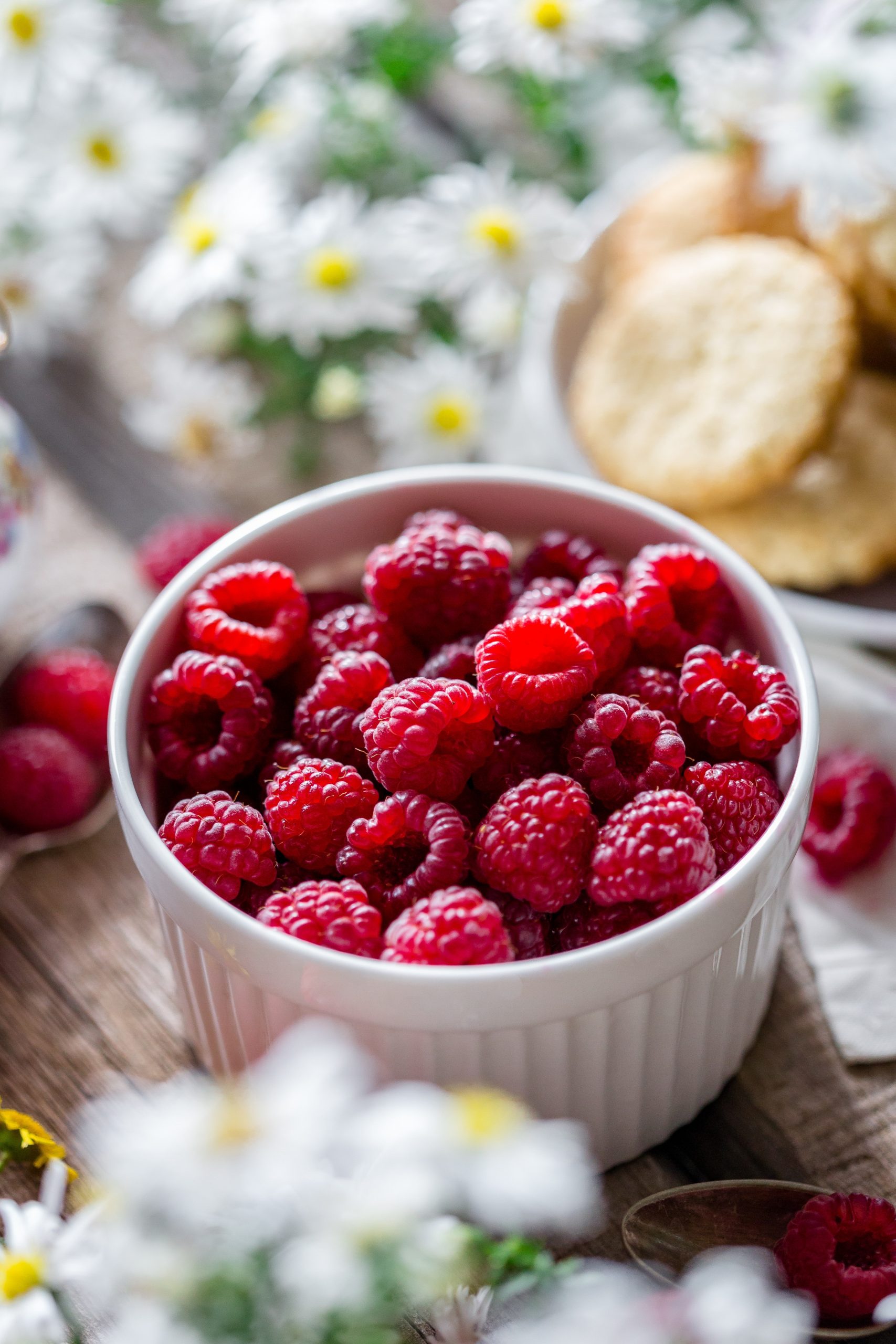 frutas y verduras