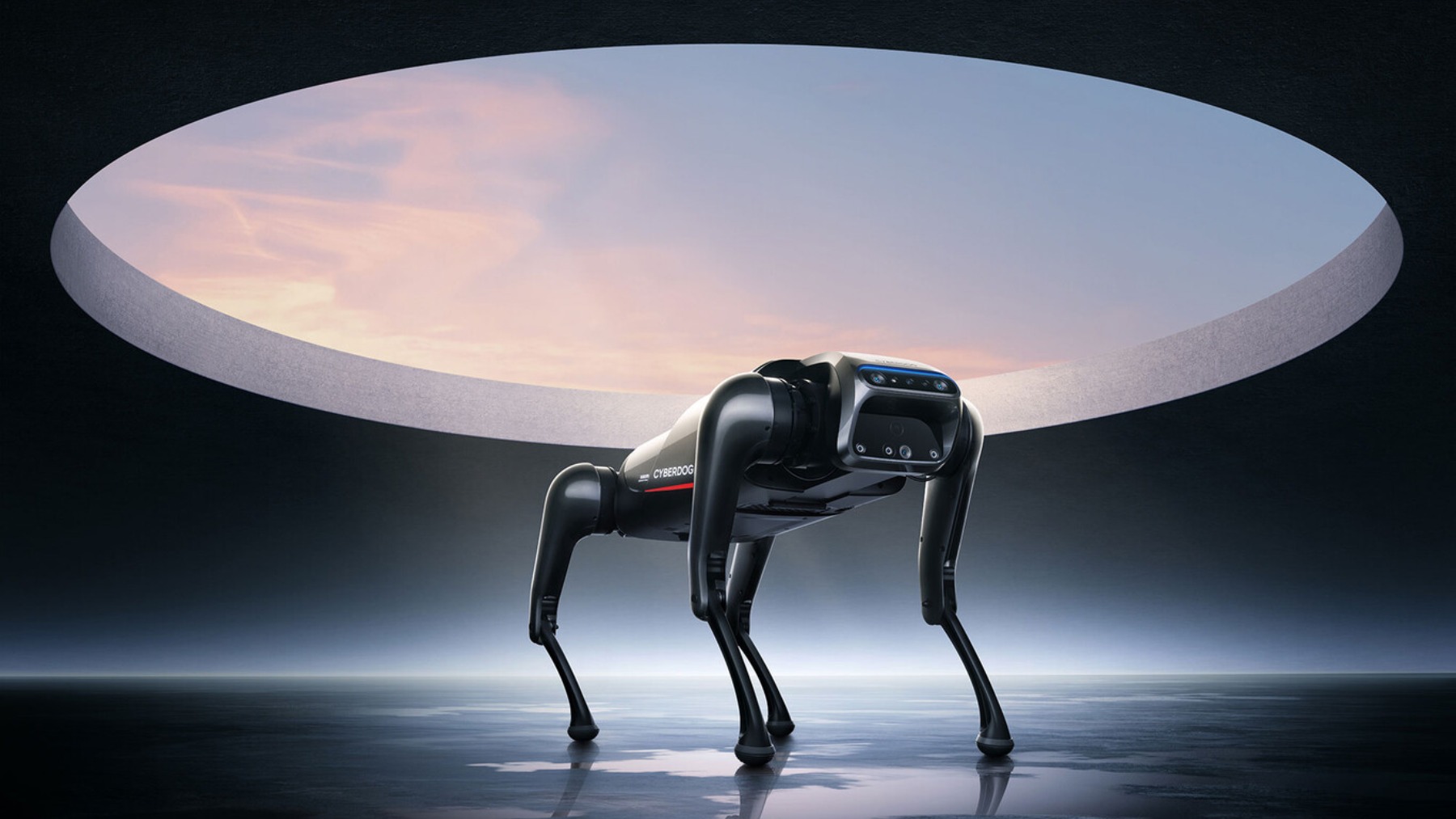 El perro-robot de Xiaomi que quiere sustituir a nuestras mascotas