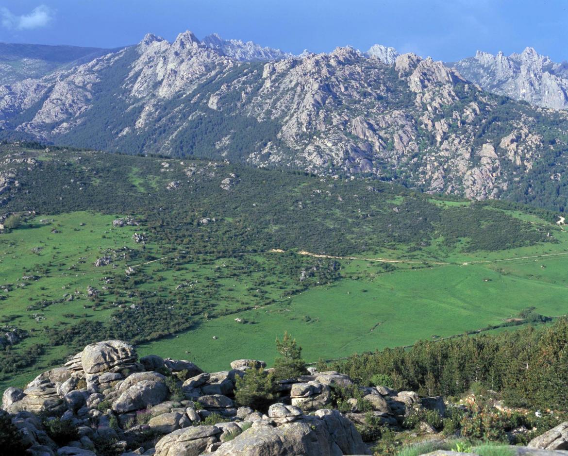 Parque Regional de la Cuenca Alta del Manzanares