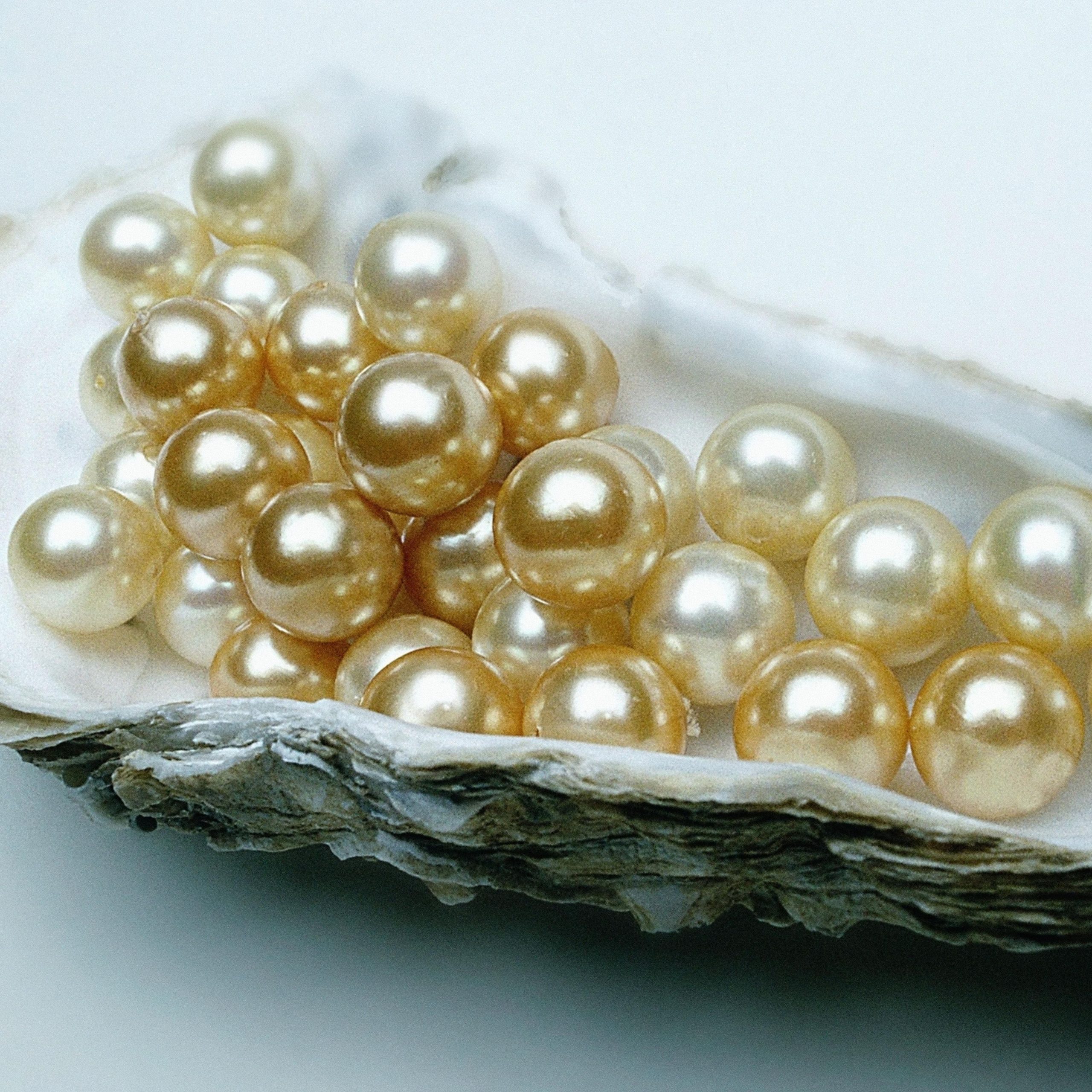 Cómo conservar las perlas en buen estado  De tiempos de antaño / Joyas  antiguas y relojes de primeras marcas