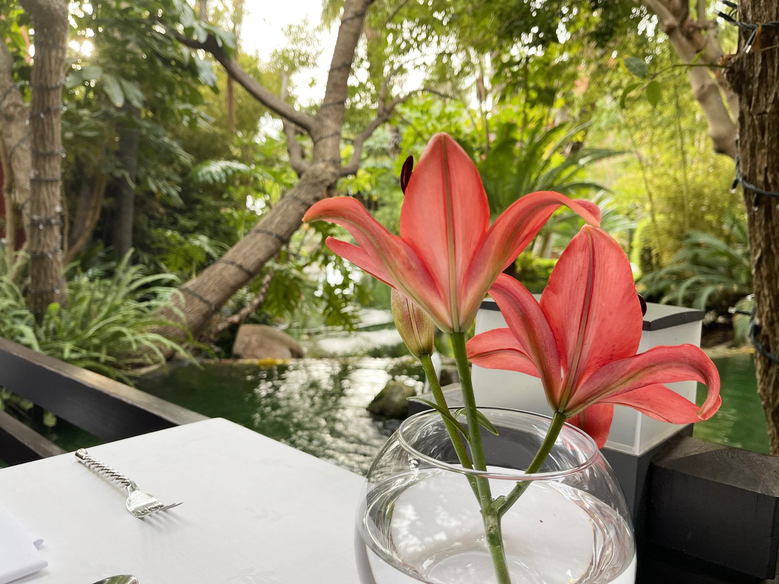 Detalles en Asia Gardens/Foto: Fina Grosso