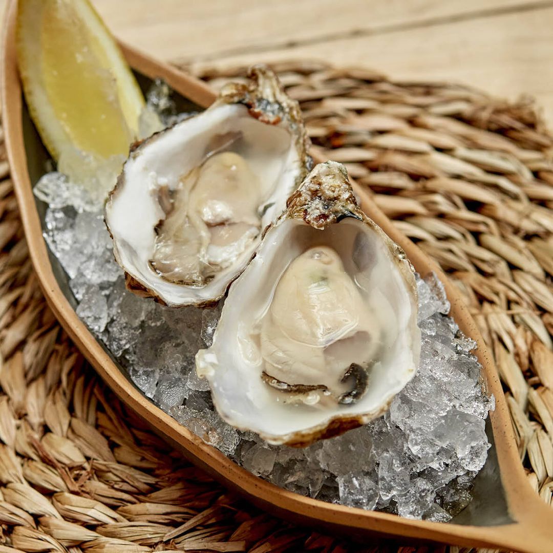 Foto: Barbillon Oyster