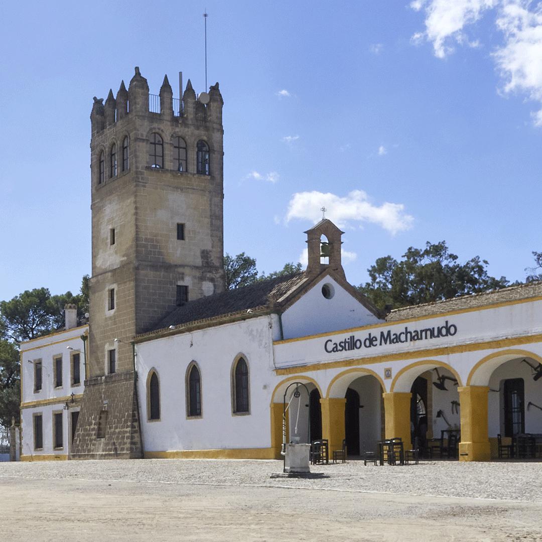 Bodegas Fundador