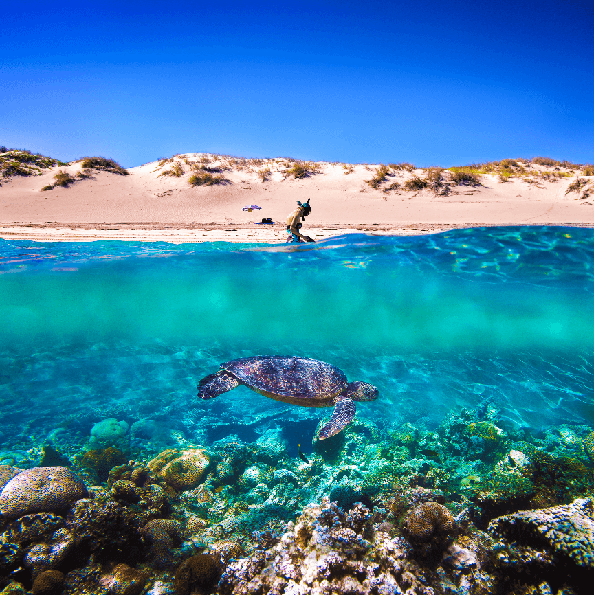 Turquosie Bay (Exmouth, Australia)