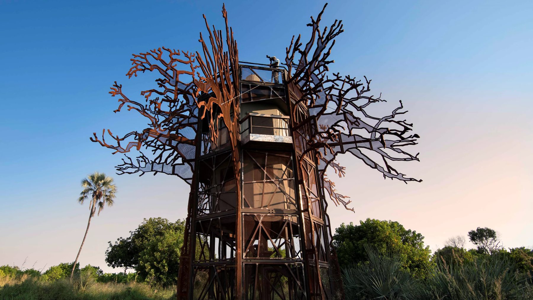 Casa del árbol Baobab