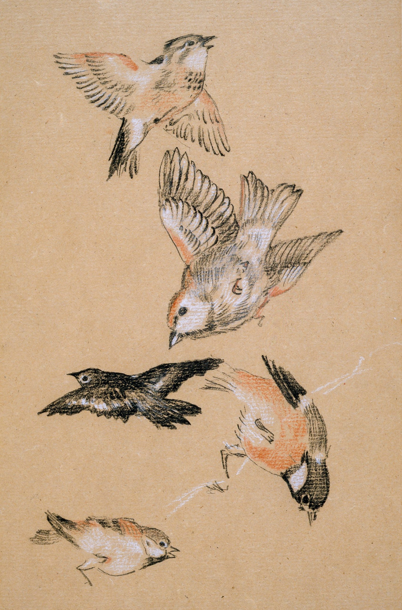Dibujo de pájaros