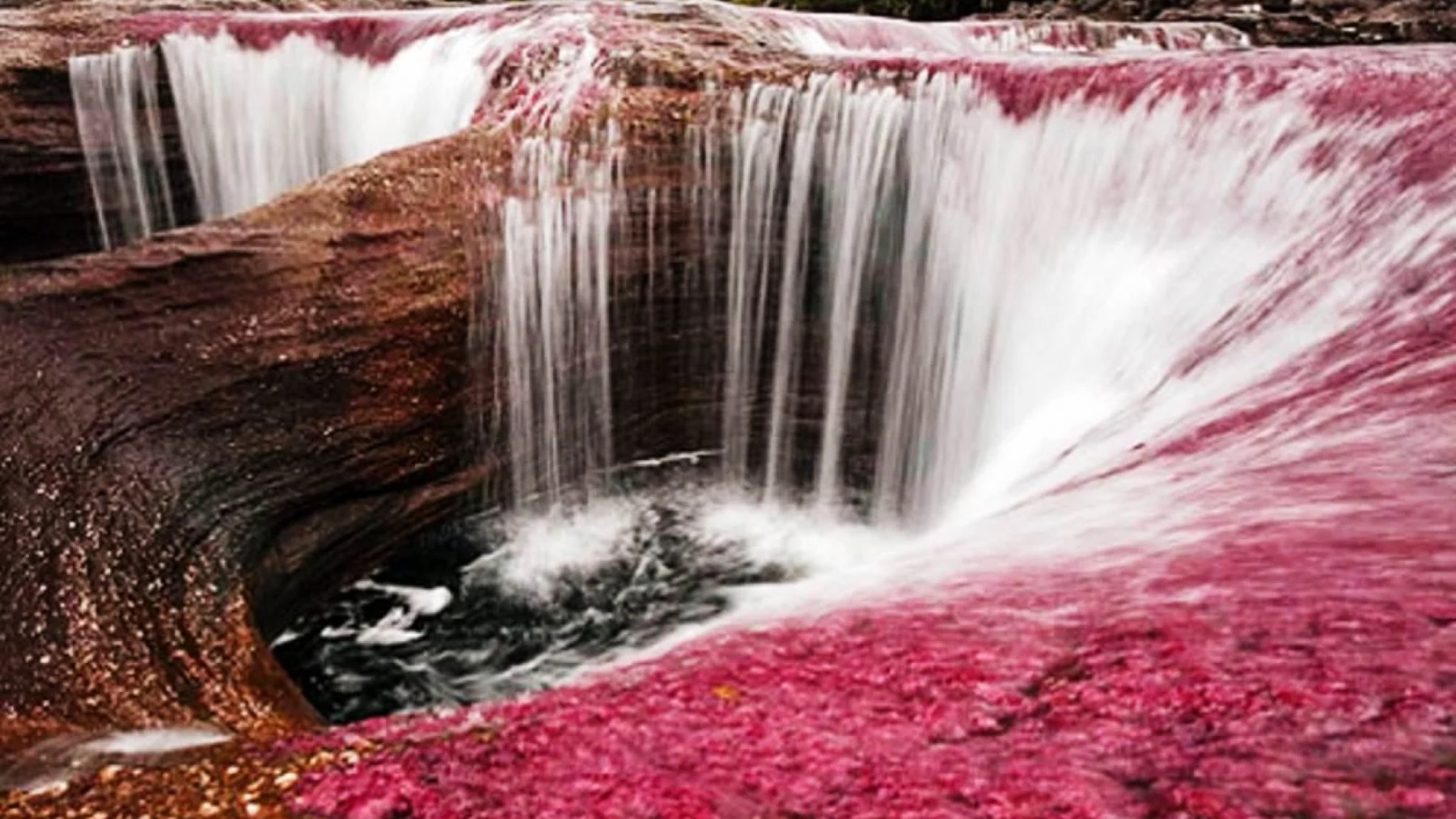 Caño Cristales, en Colombia