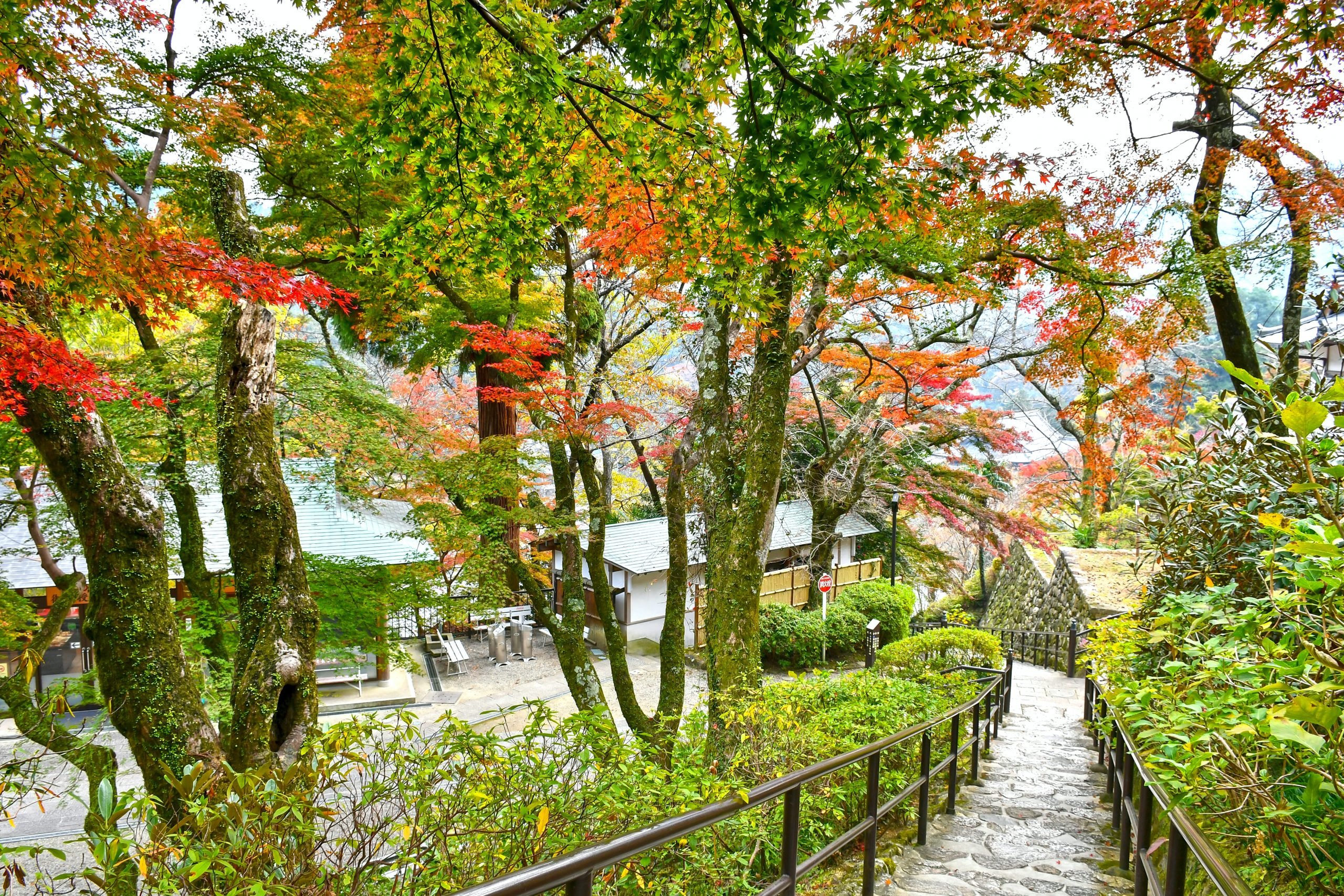 Nara, en Japón