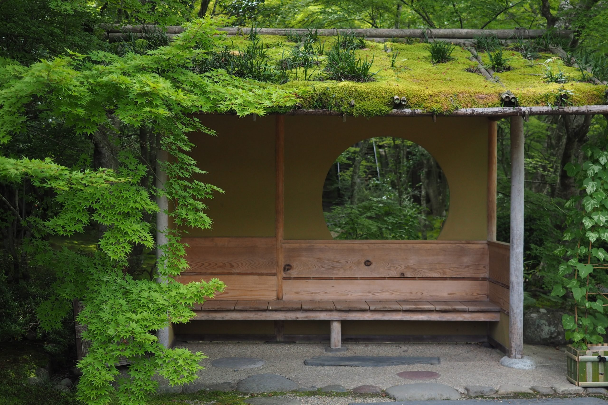 Un rincón de Matsushima