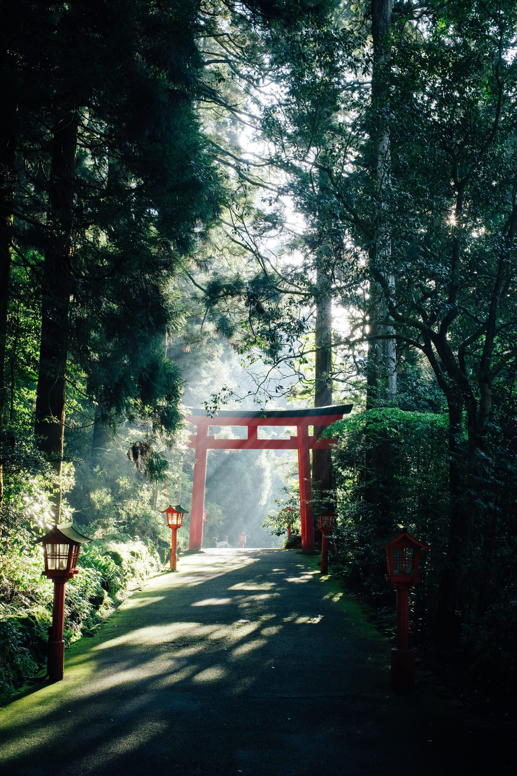 Paisajes de Japón