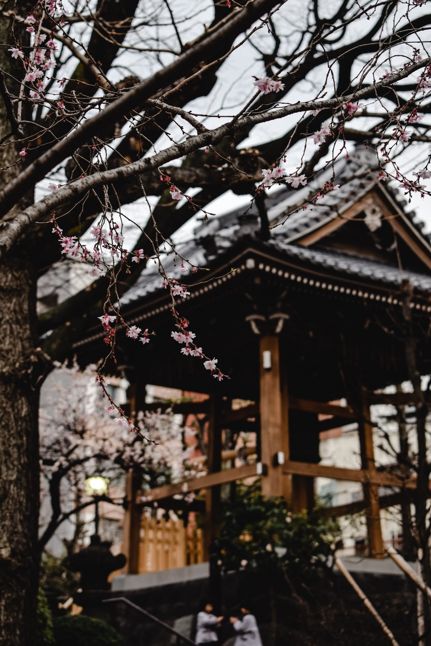 Nara, Japón 