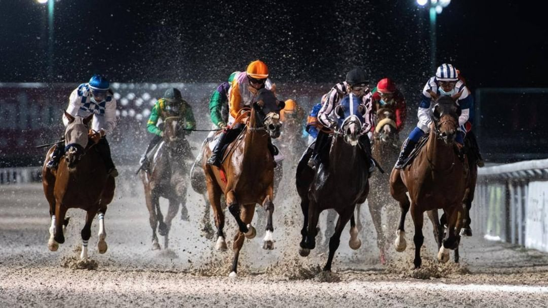 El plan de las noches de verano en el Hipódromo de la Zarzuela