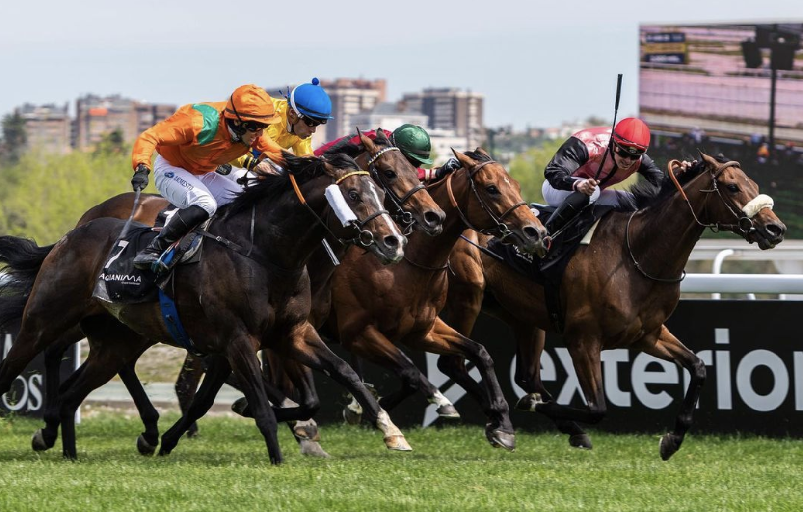 Carrera de caballos