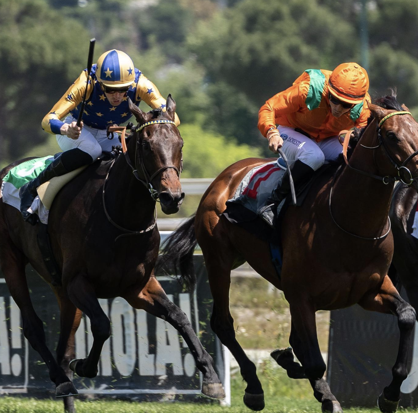 Carrera de caballos