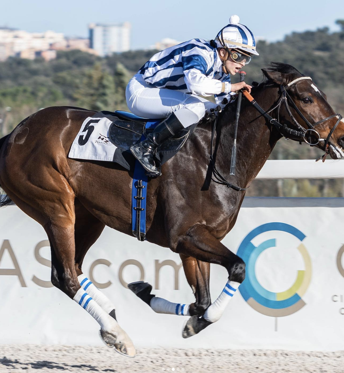 Carrera de caballos