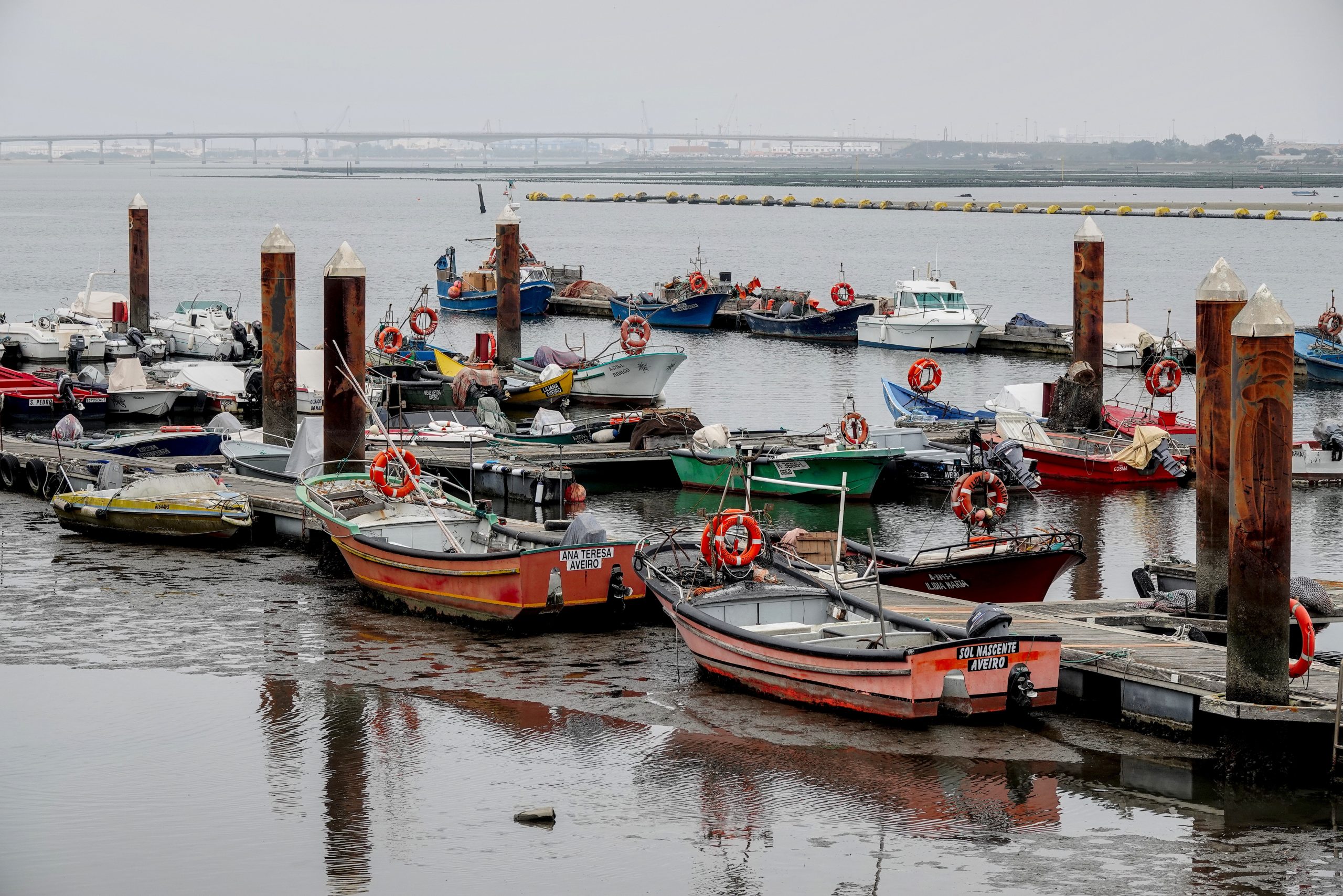 aveiro