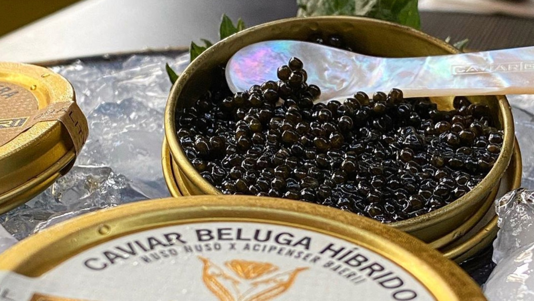 El caviar, producto gourmet, manjar de dioses y lujo sibarita