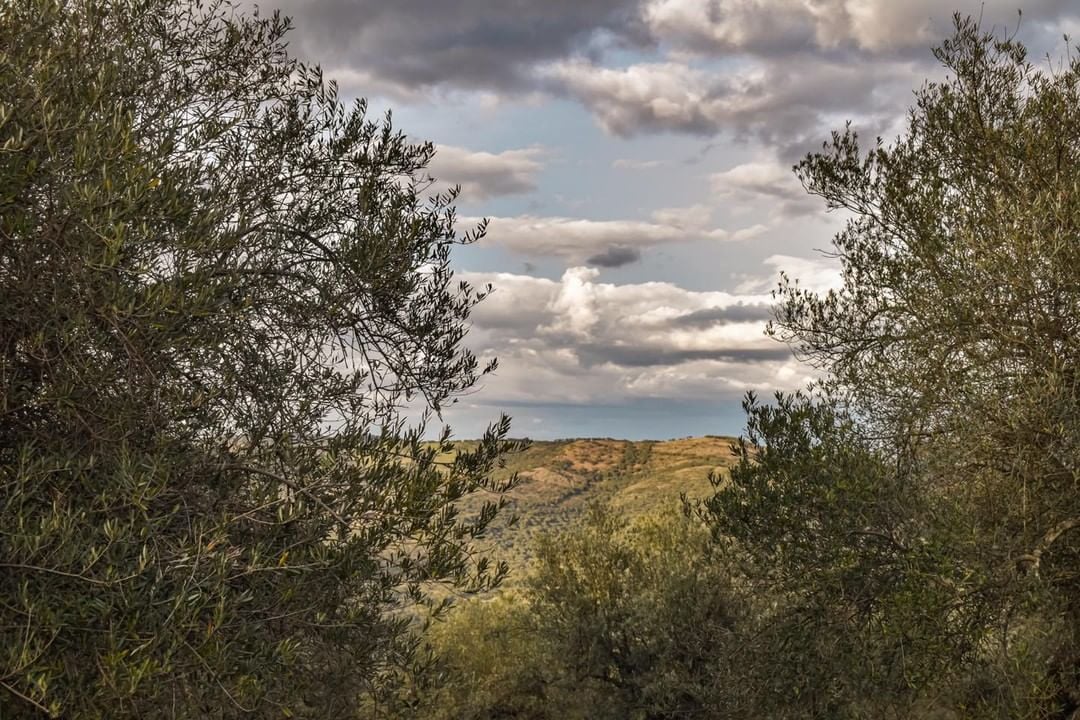 Paisaje extremeño