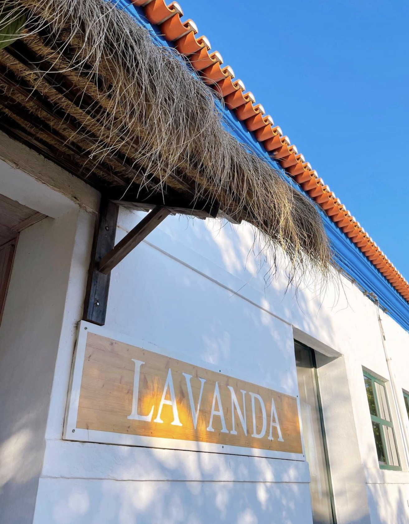 Tienda Lavanda en Comporta