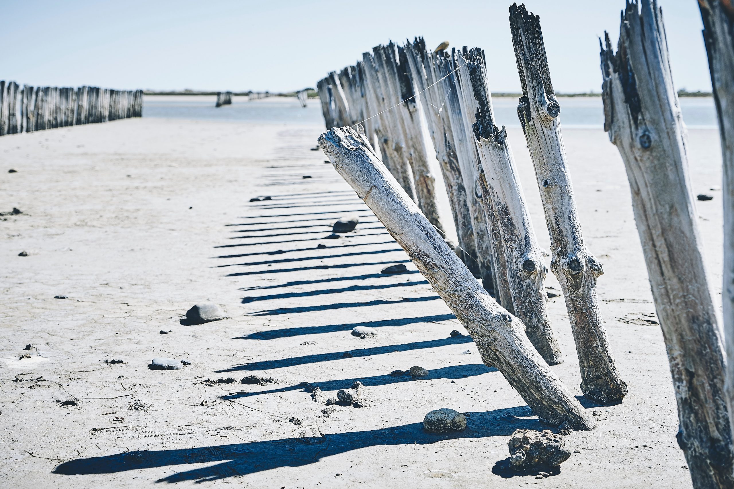 Salinas de Camargue