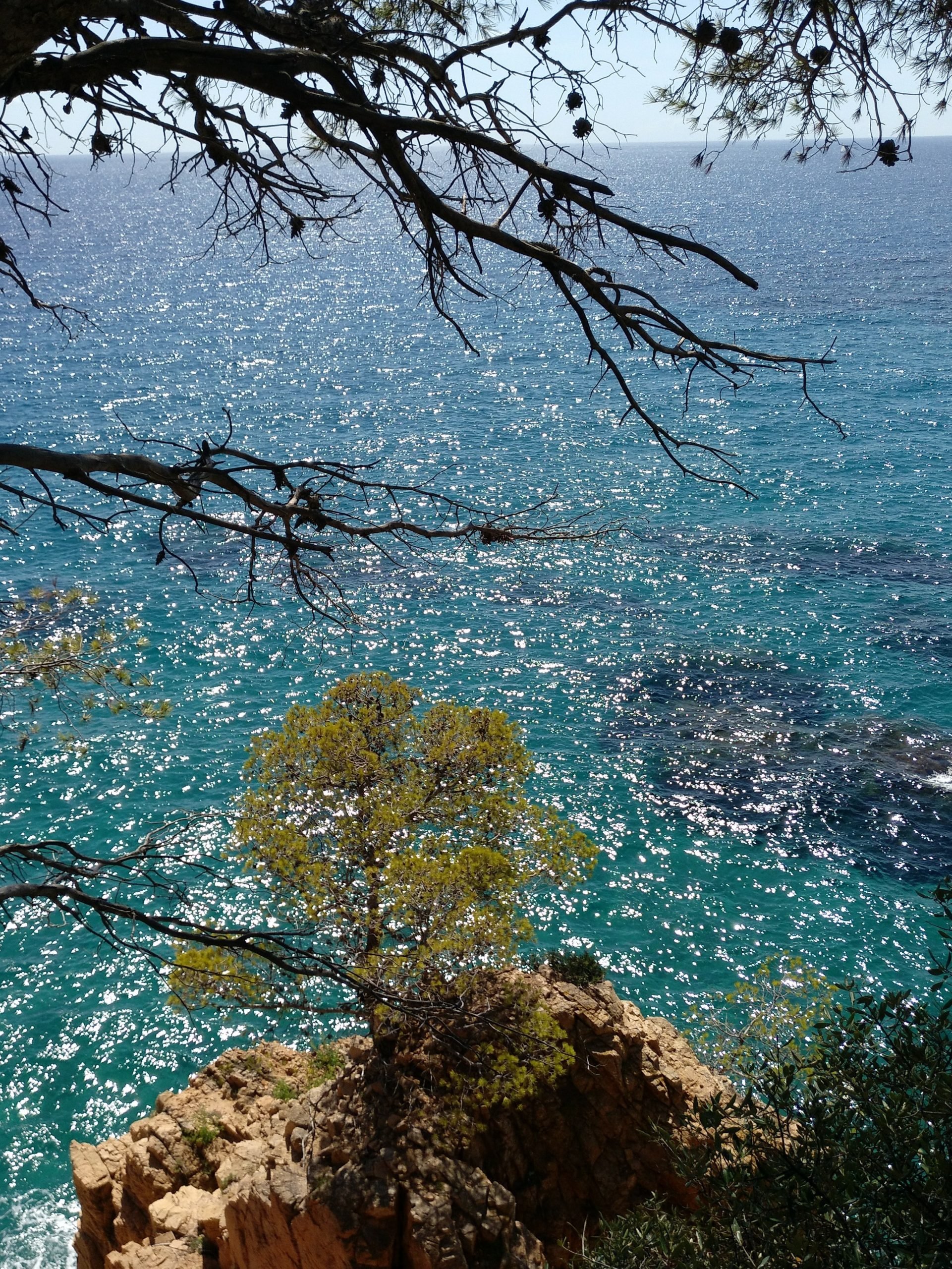 Paisaje de la Costa Brava