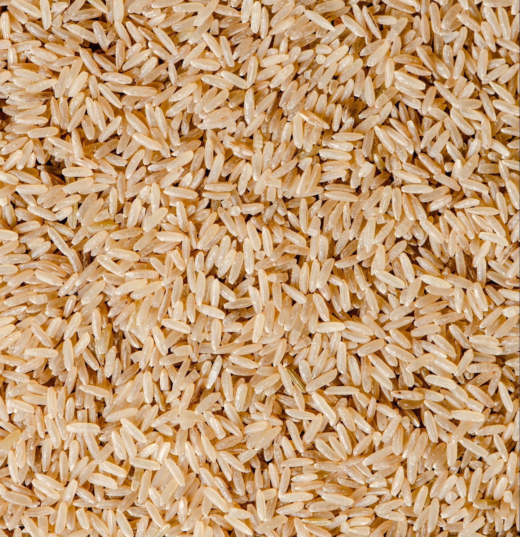 Arroz integral