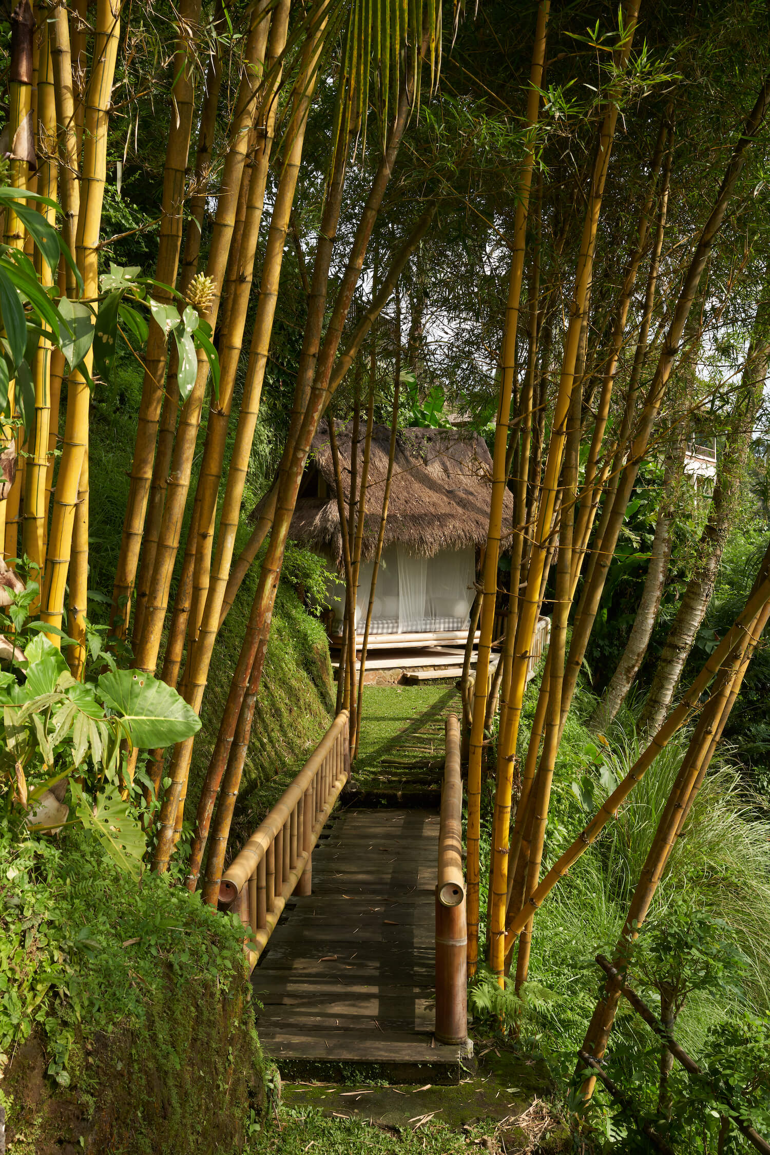 Refugio tropical de lujo