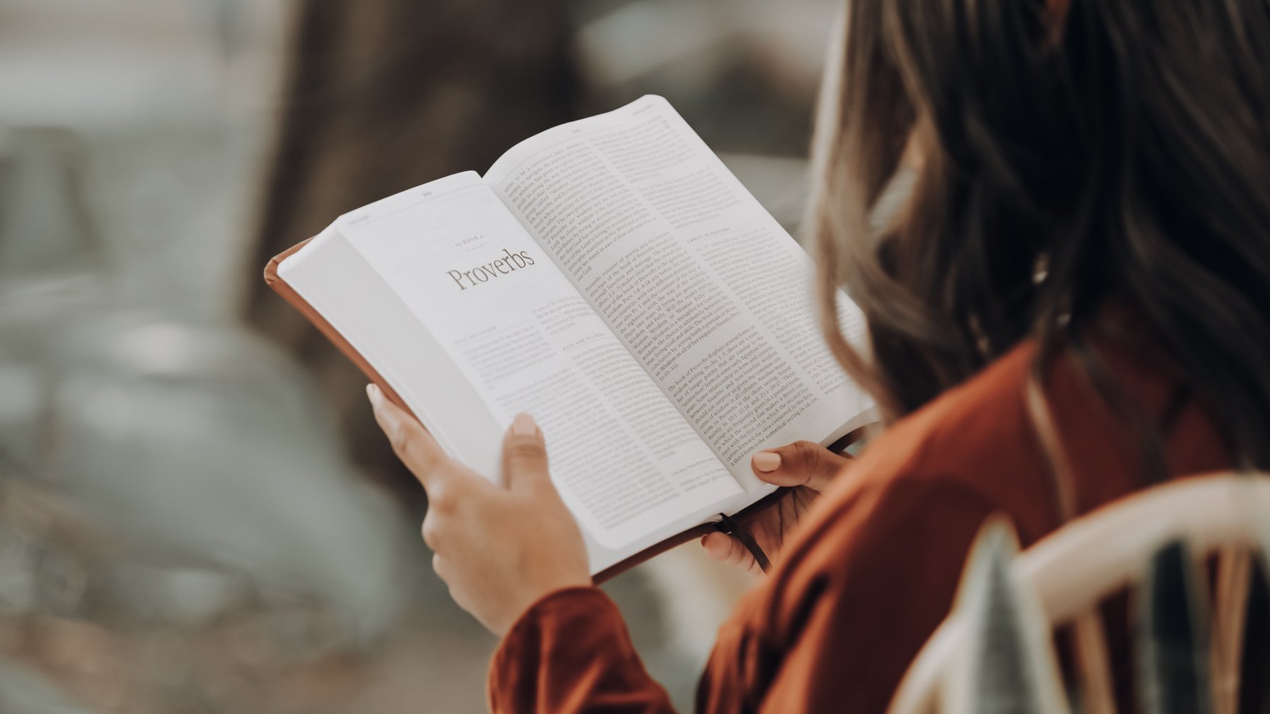 Leyendo en otoño