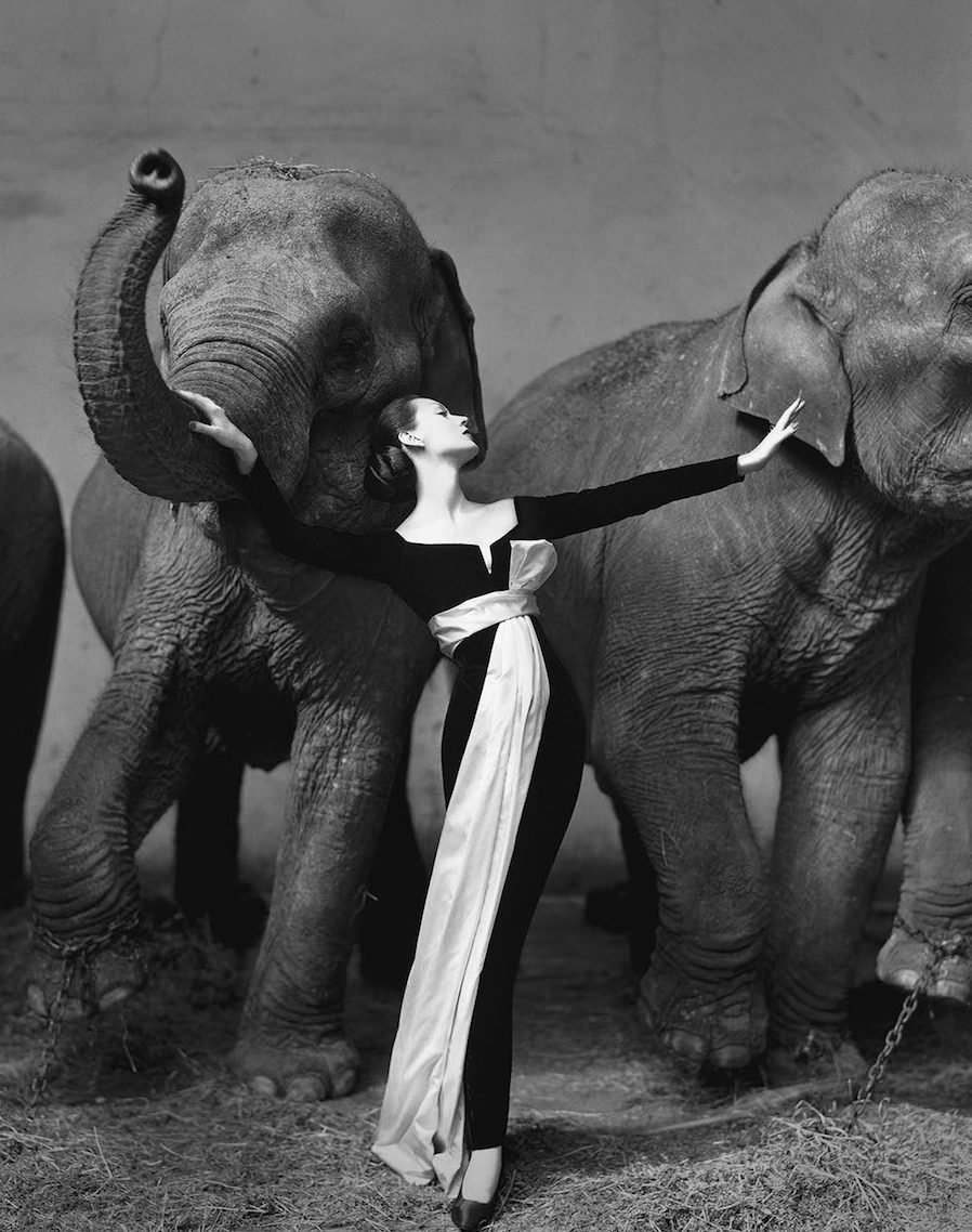 Richard Avedon