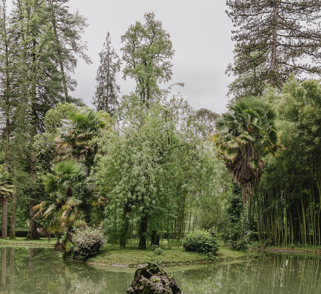 Selva de Irati, Navarra