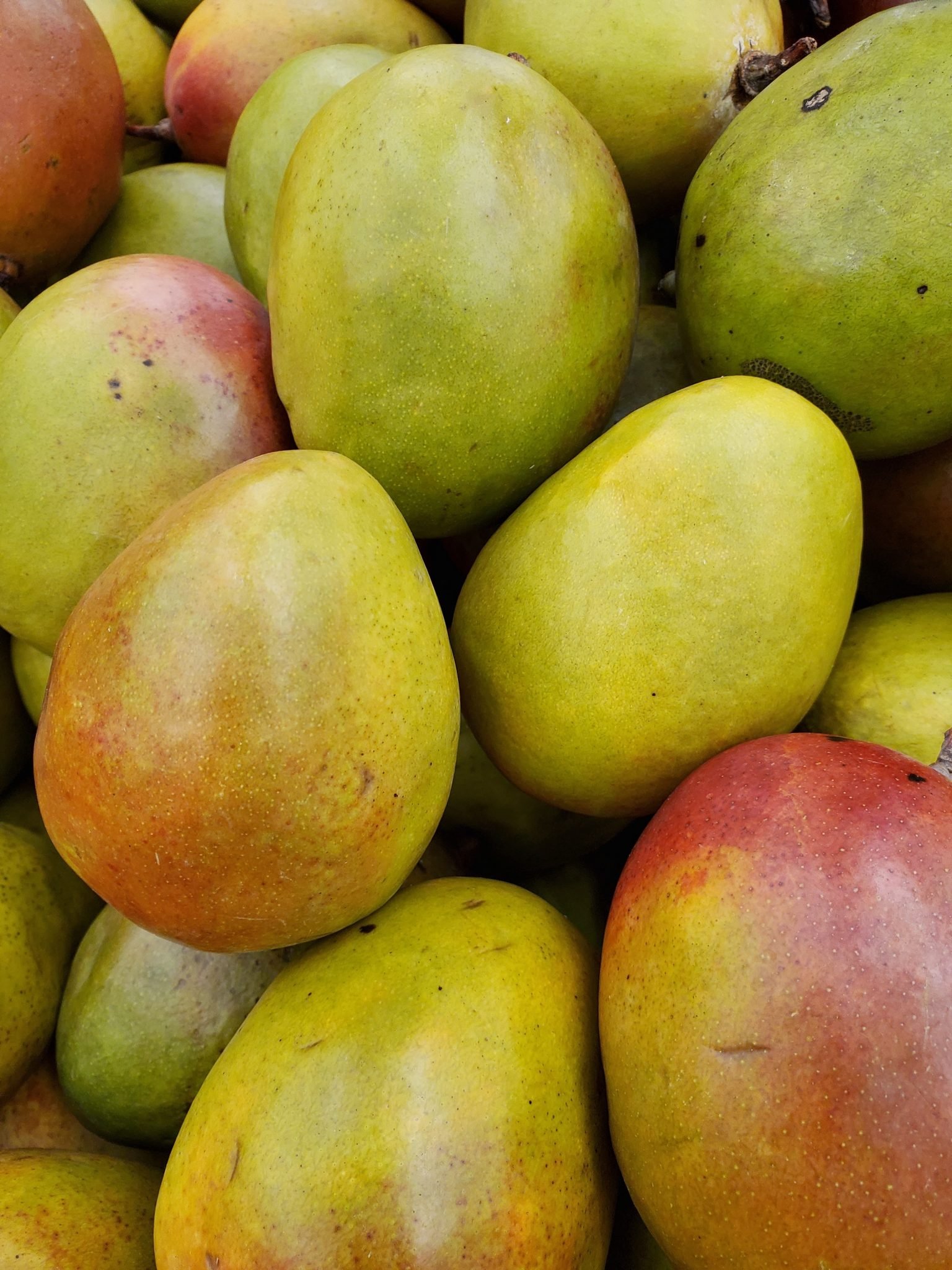 La importancia de conocer las propiedades y los beneficios del <b>mango</b>.