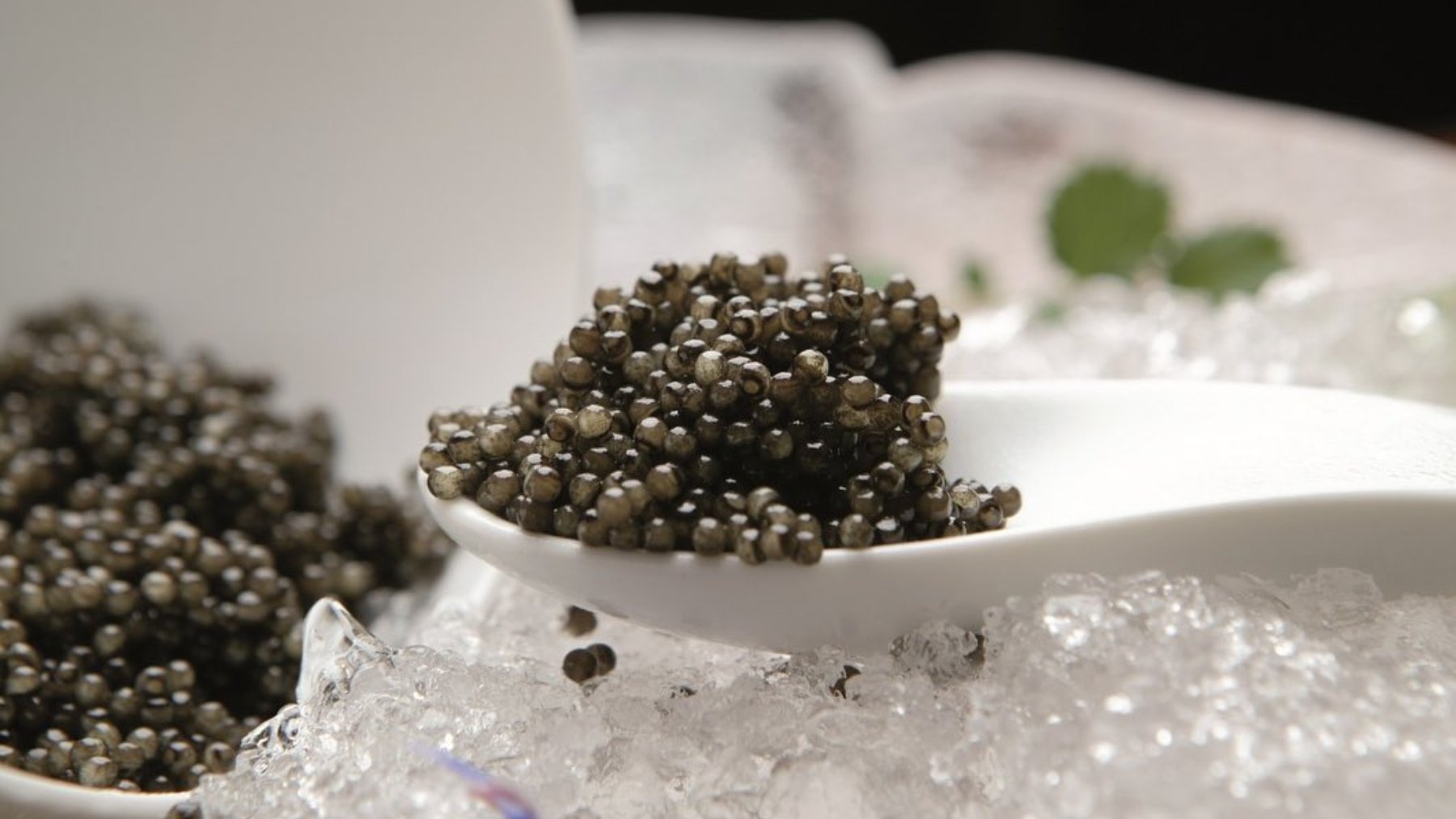 caviar riofrío