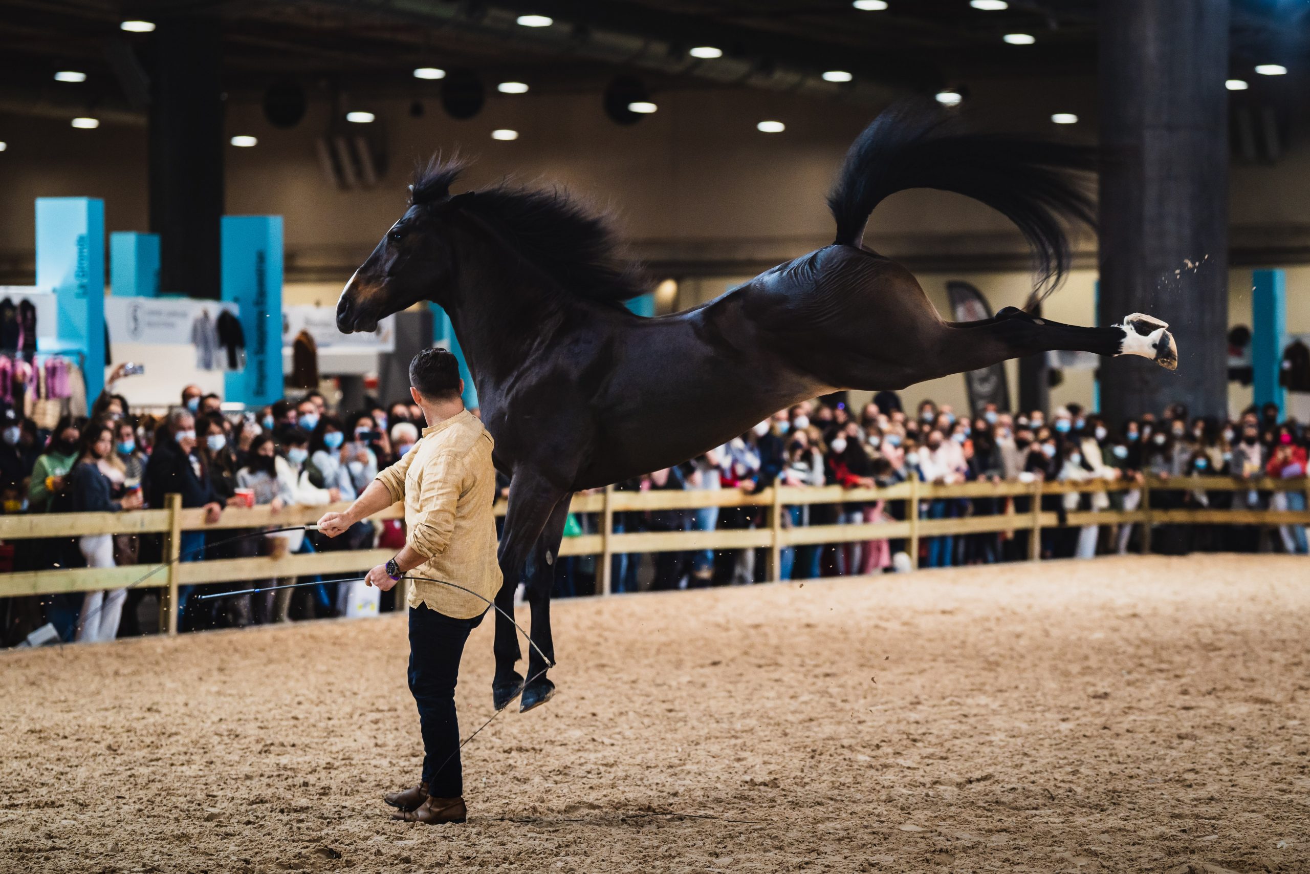 madrid horse week